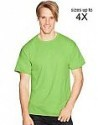 Deals List: Hanes ComfortBlend EcoSmart Crewneck Men's T-Shirt