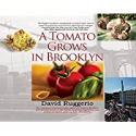 Deals List: A Tomato Grows in Brooklyn Kindle Edition 