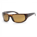 Deals List: Ray-Ban RB4283 Polarized Chromance Sunglasses 