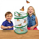 Deals List: Insect Lore BH Butterfly Growing Kit