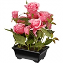 Deals List: National Tree Pink 10-inch Potted Rose Flowers