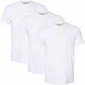 Deals List:  3-Pack Gildan Men's Crew Neck Cotton Stretch T-Shirts (Arctic White)