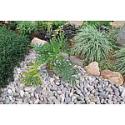 Deals List: 20-30% Off Select Landscaping Pavers, Pebbles and Plants
